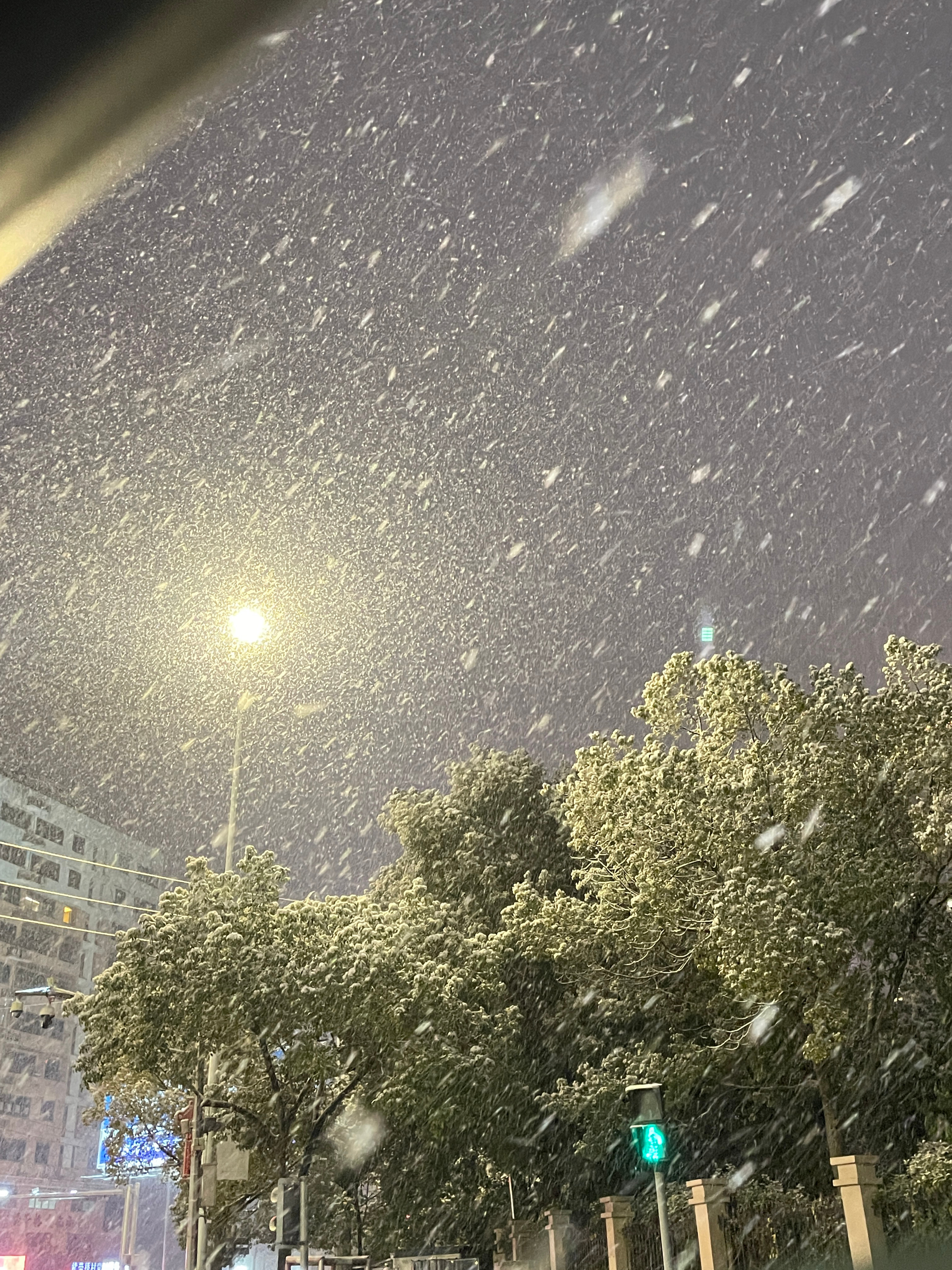 一场雪❄️  ​​​