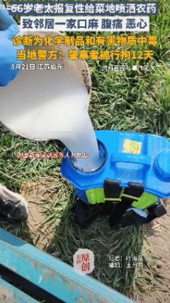 这老太太心怎么这么狠！江苏启东，一名老太太和邻居家闹矛盾，一气之下直接朝着邻居家