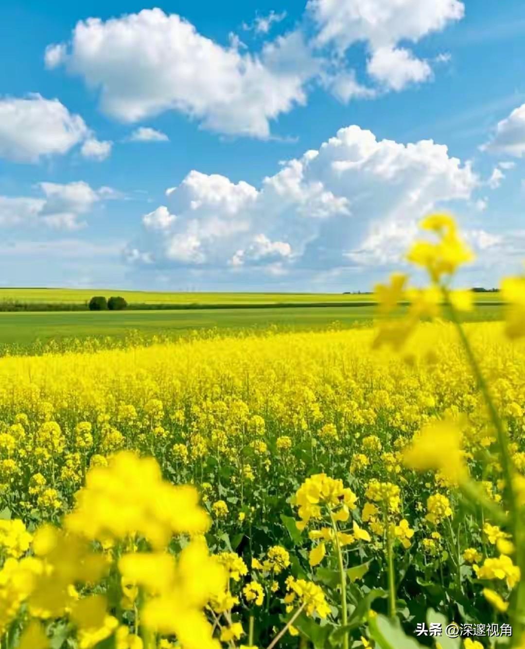 为什么结婚后，女生的朋友就慢慢走散了？
 
你有没有发现，女孩一结婚，好像就自动