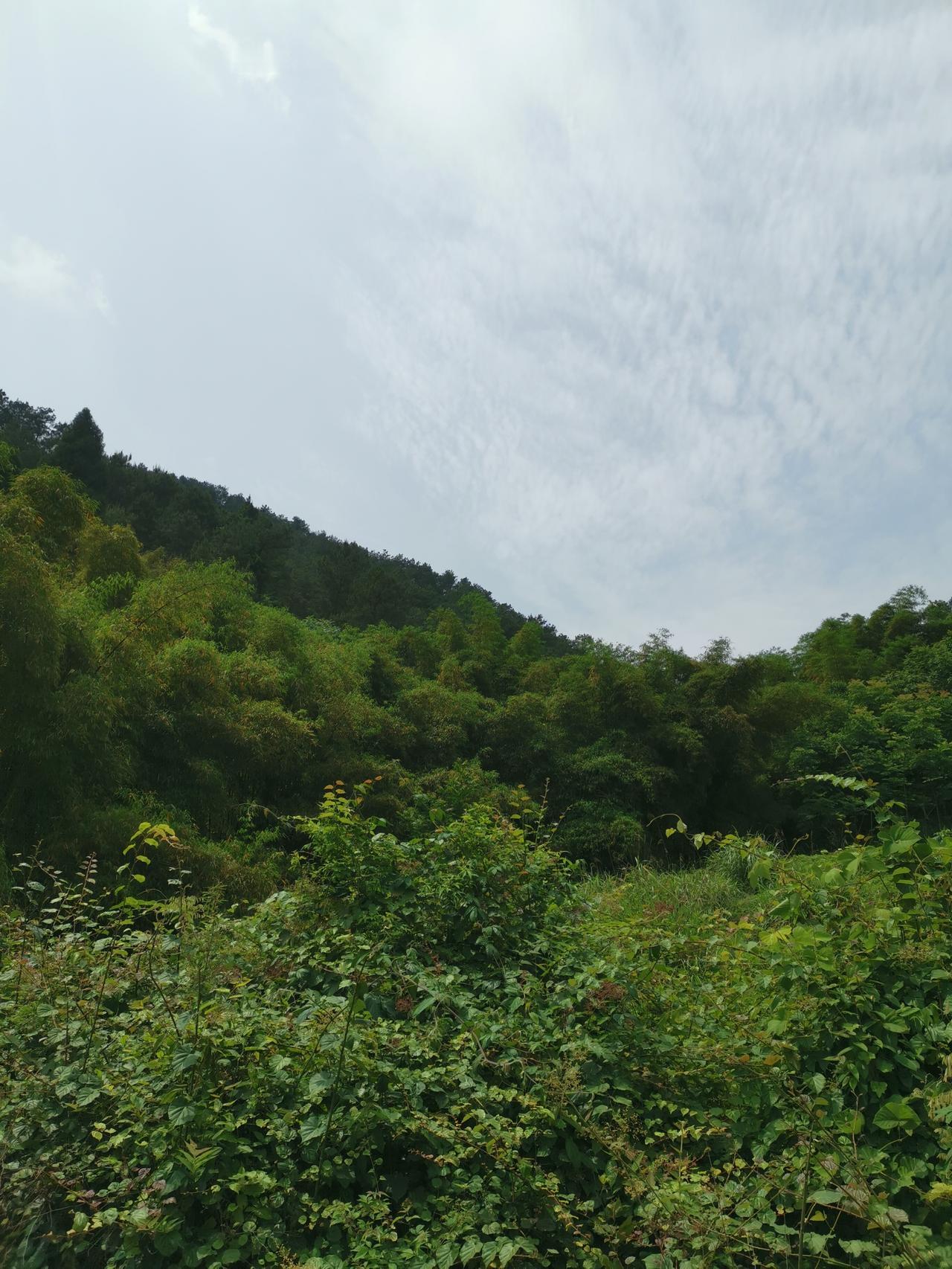 白天干点农活，与自然树木草木为伴，不干活就在田地走走，看看山看看水。闲了，就在屋