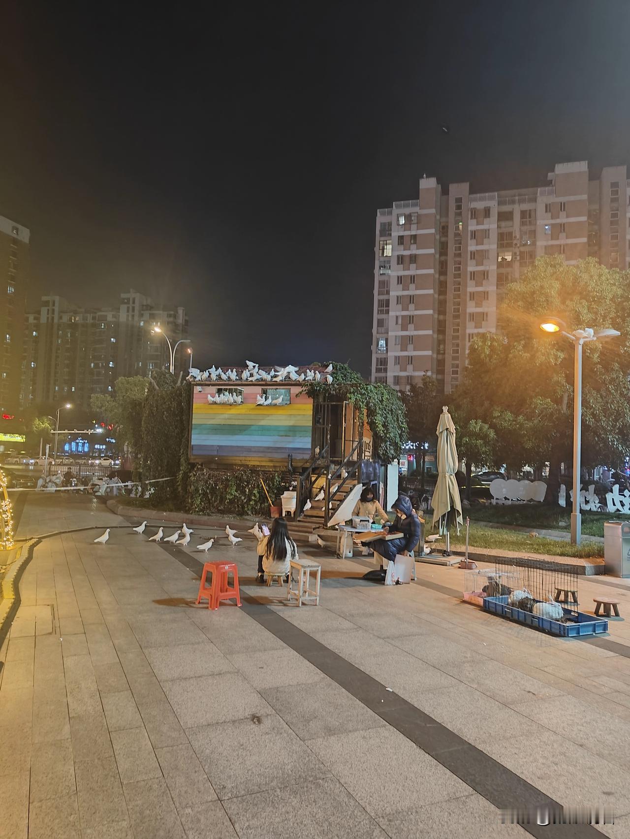 扬州京华城Rmall全生活广场门前的放养鸽子的棚子