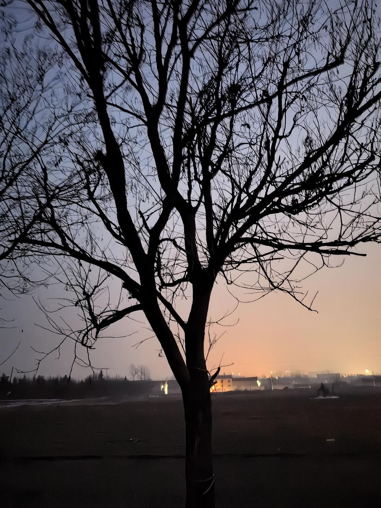 生活慢慢，缓缓而行，在自己的时光里，拍自己喜欢的风景，配喜欢的音乐，感受自己的诗