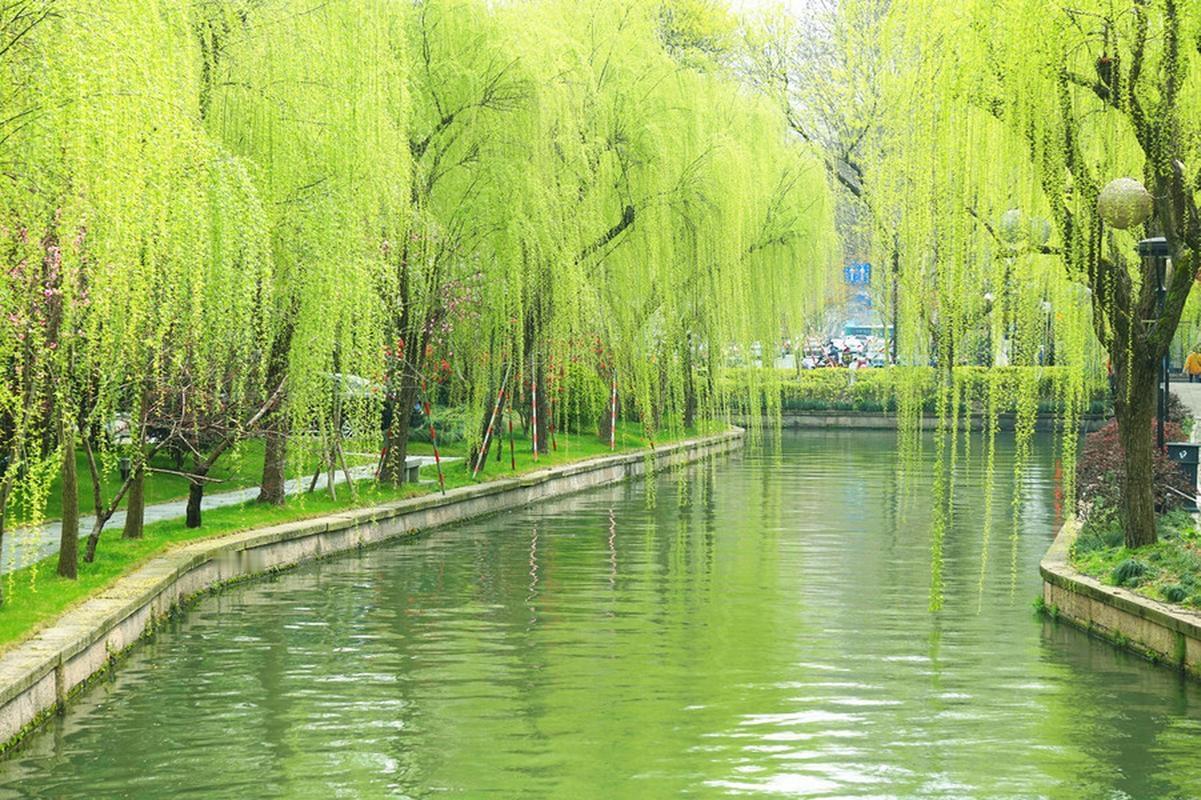 哲理随笔：心有定力，方能行远
  
       有个小故事，读来颇有意思。