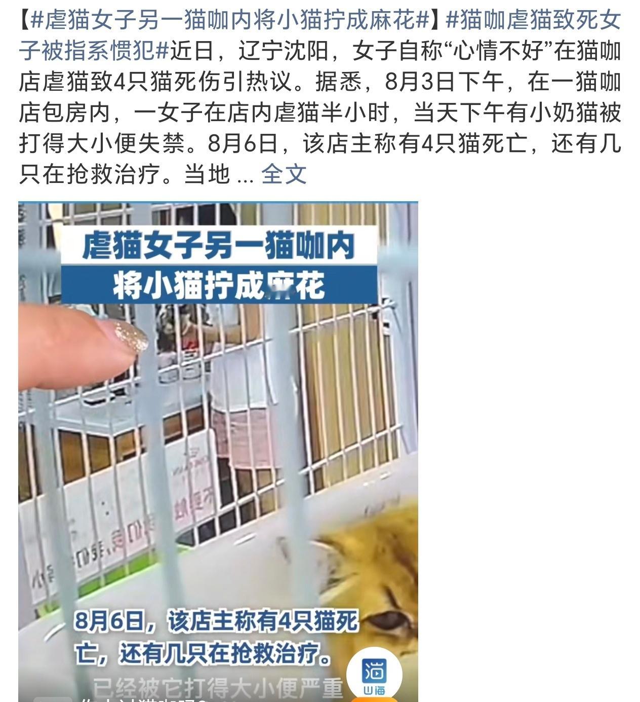 三甲医院一医生持弓箭射杀流浪猫下一步是什么不敬畏生命的人成了医生心理bt的人在铁