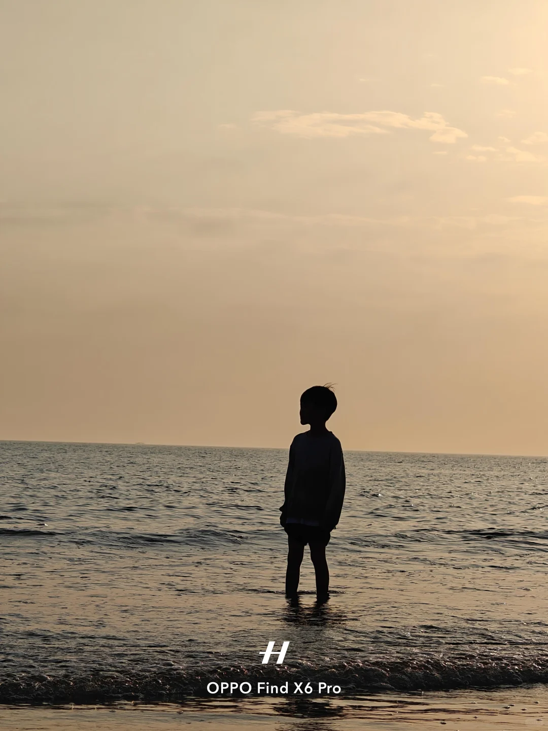 北海，bye