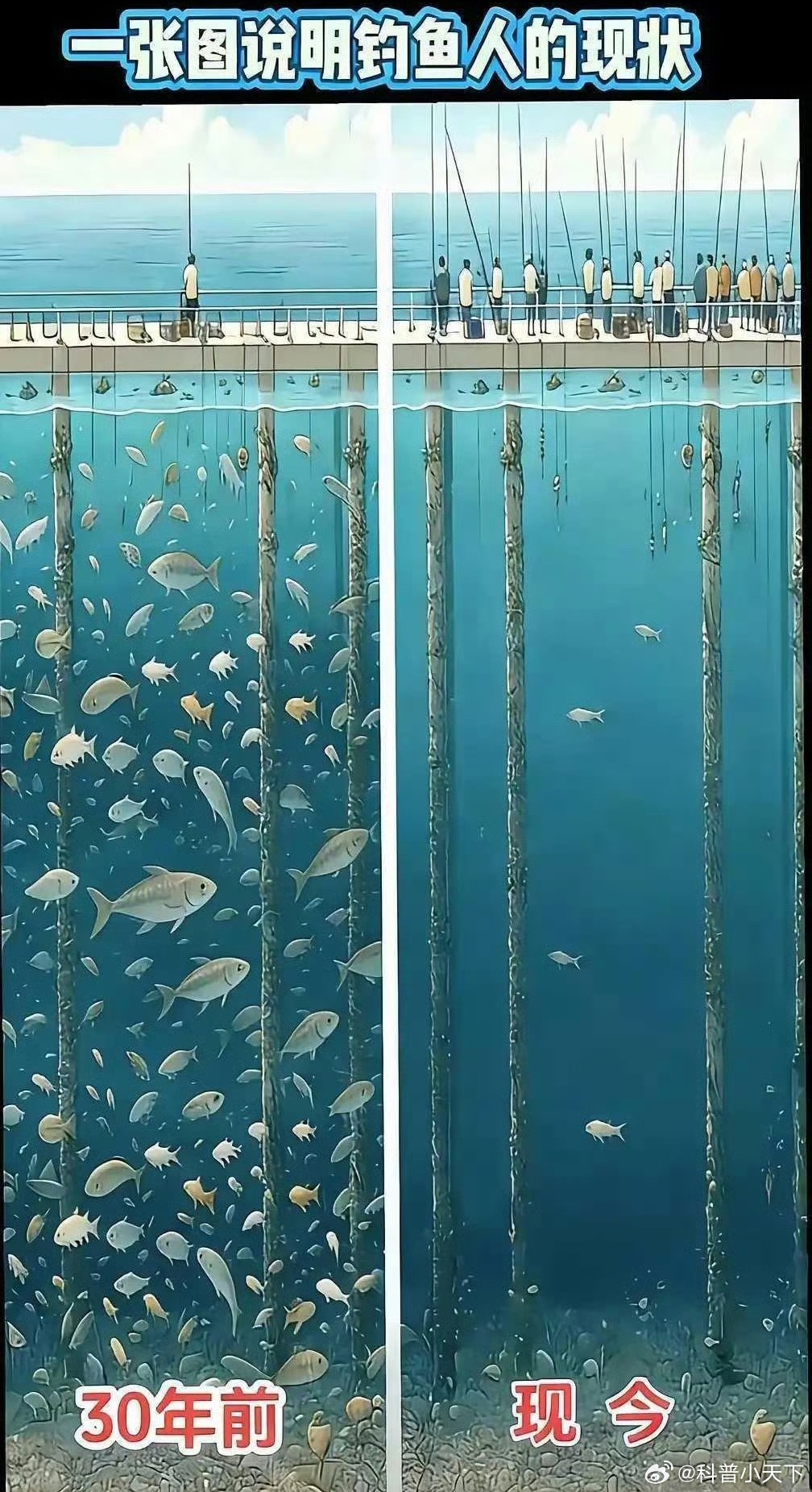 这张图能说明啥