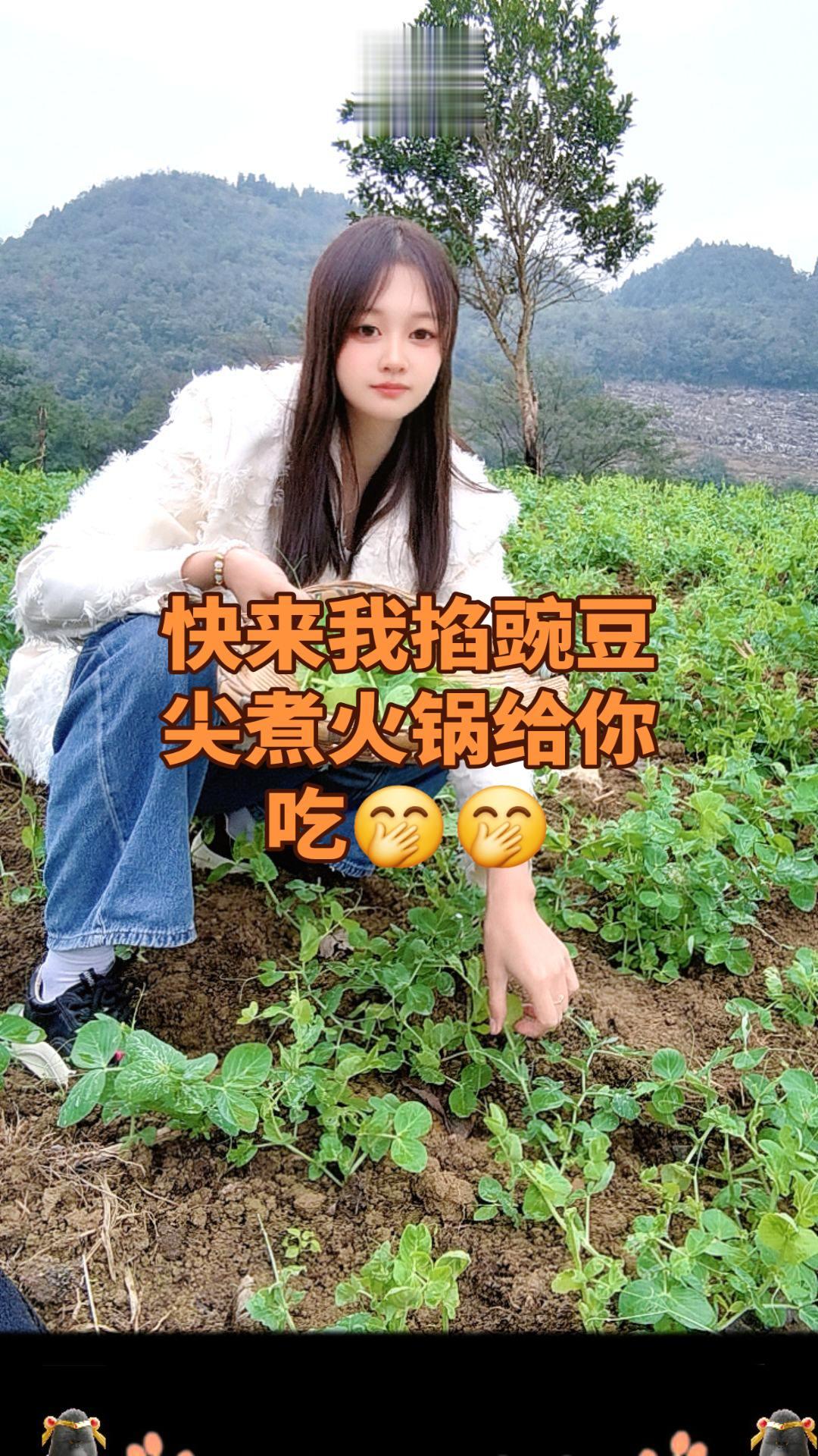 纯天然绿色食品