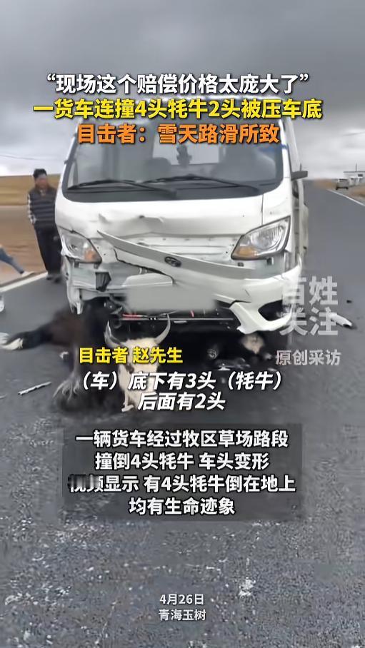 “赔大发了！”4月26日，青海玉树，一小货车经过草场路段时，因下雪天路面湿滑，货