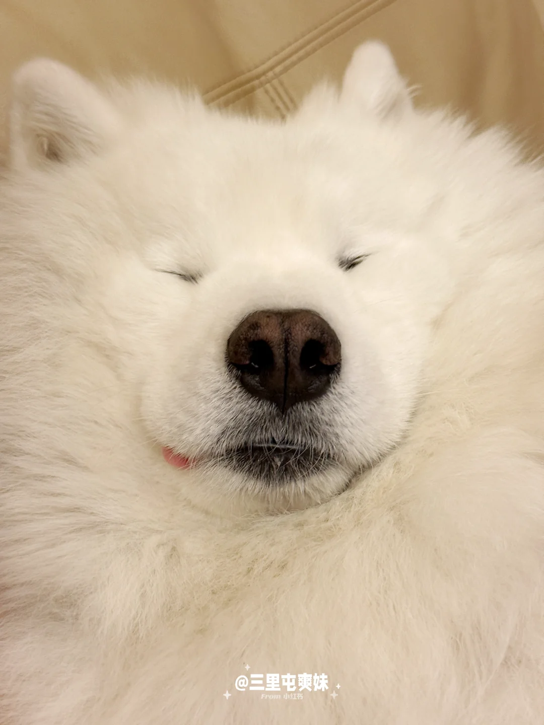 💤