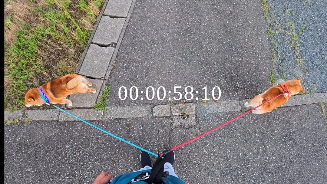 两个犟种杠上了