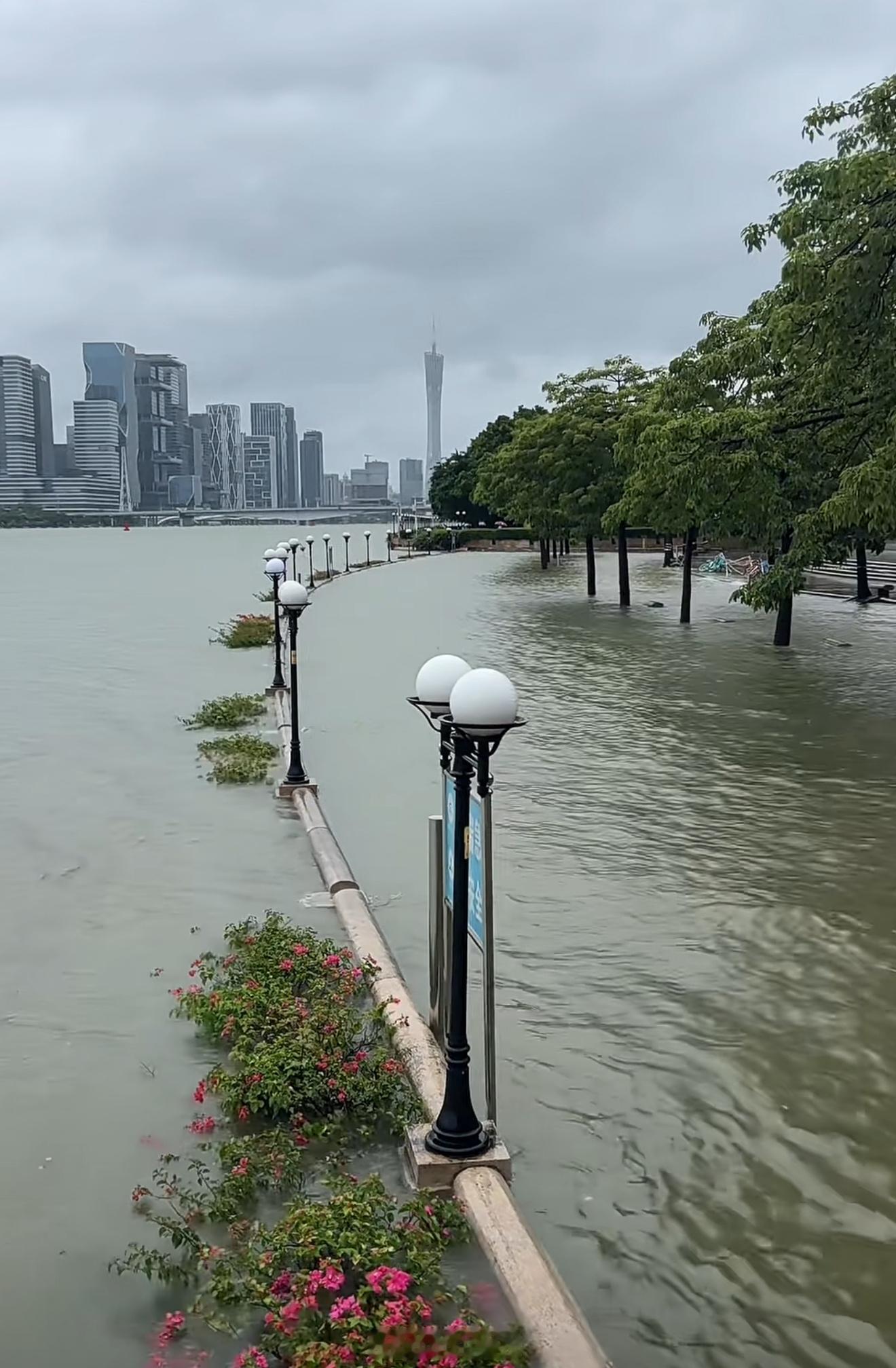 我们平时散步的地方，临江大道这样了桦加沙登陆广东广州解除五停 ​​​