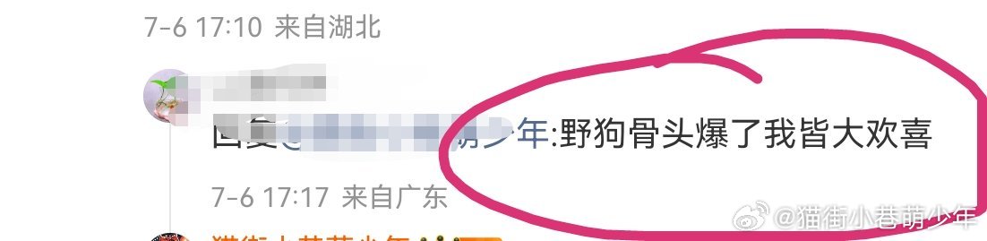 哈哈哈哈，野狗骨头吹的，一看云合排第7，比千香，灿若繁星都低，粉丝还说爆了