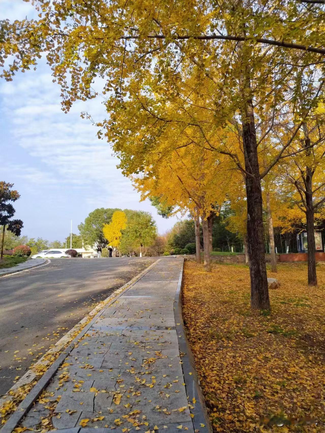 冬日生活打卡季