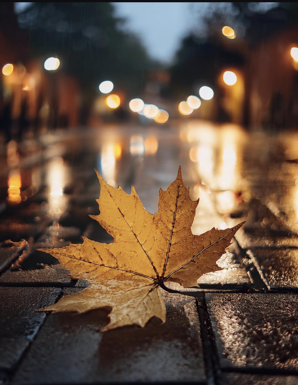 人到了中年，
蕞大的心酸，
是你拼尽全力给了孩子所有，
却没等来一句心疼。
 