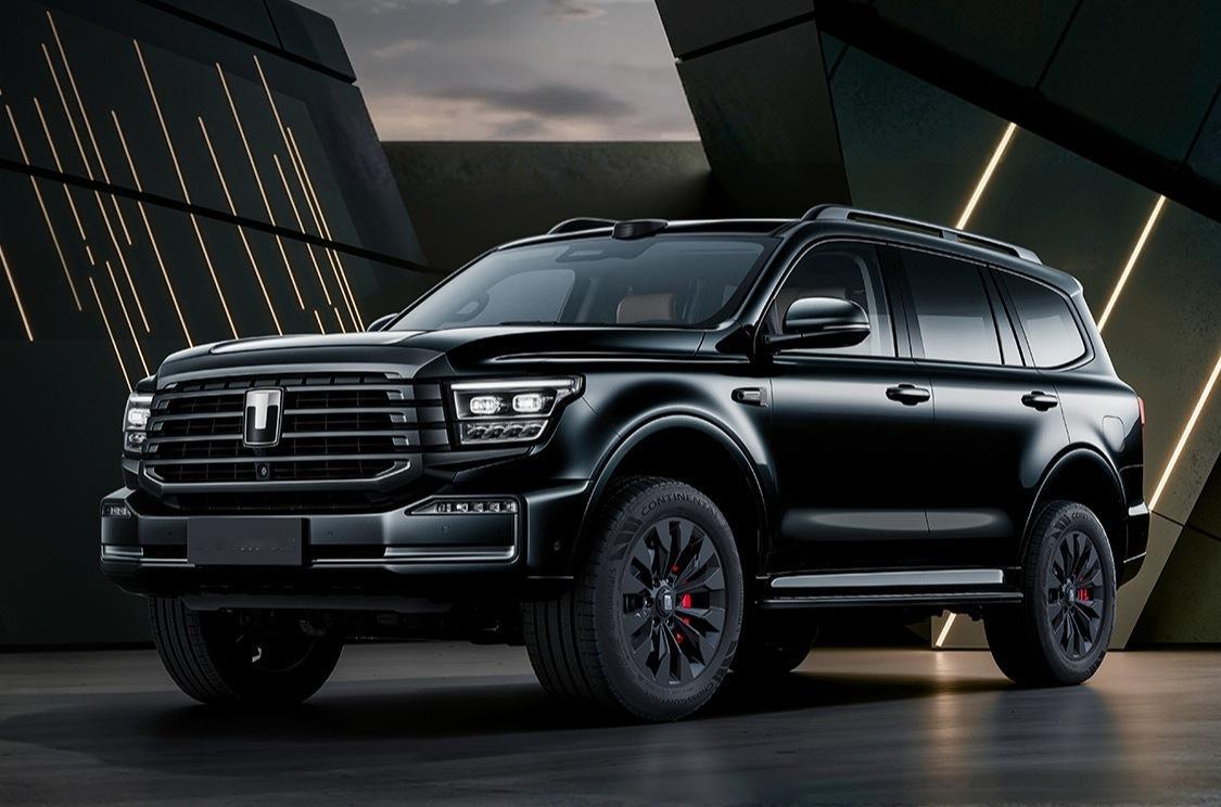 感觉坦克500很适合黑武士，终于来了。 