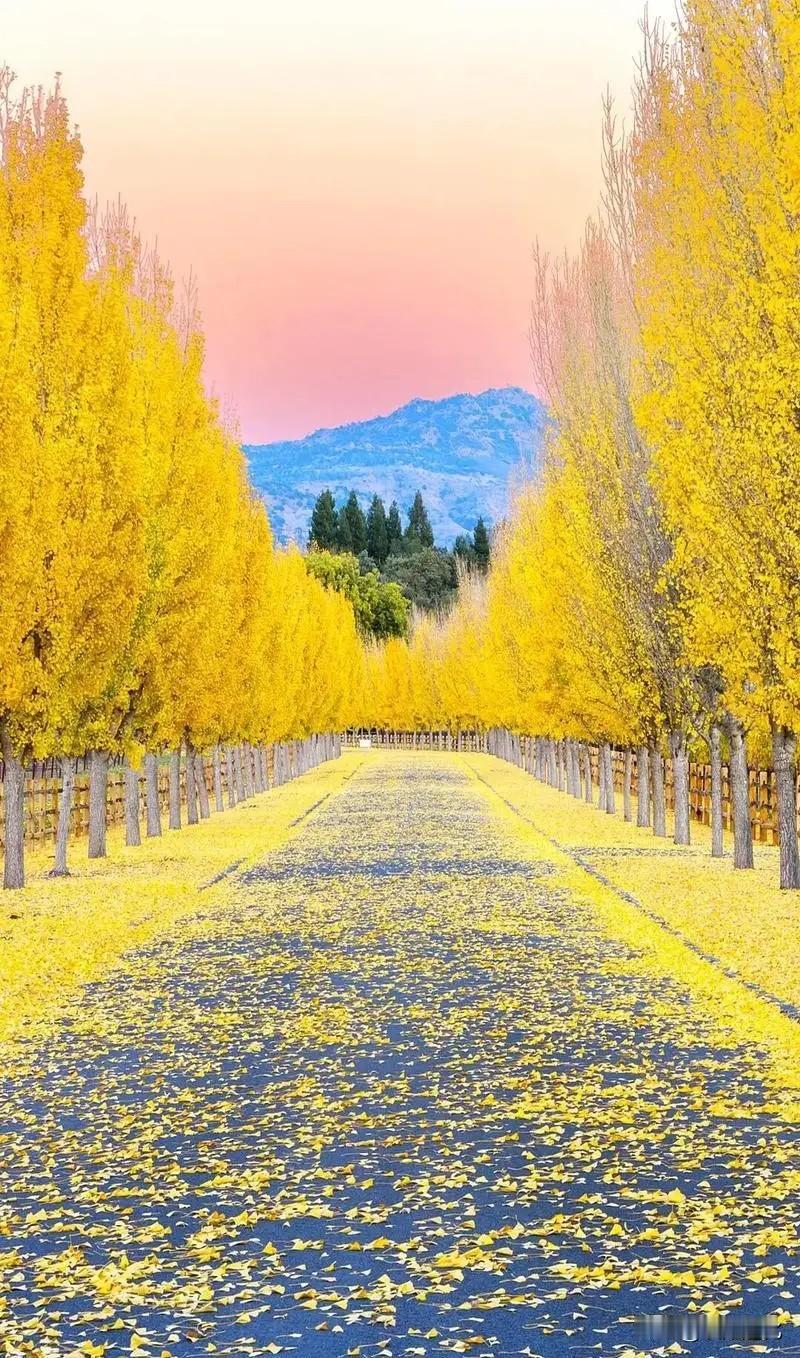 社会学家说：
“能成大事的人一般都有这四大特点：
一是性欲强烈，干劲十足；
二是