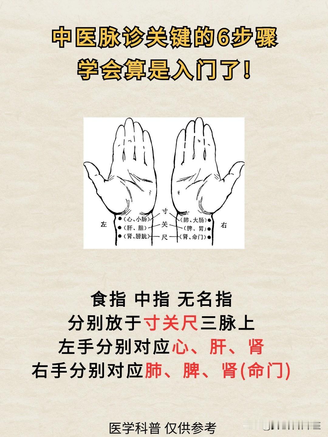 中医把脉六步简易教学，新手也能快速上手，学会了给家人看！#中医##健康##把脉#