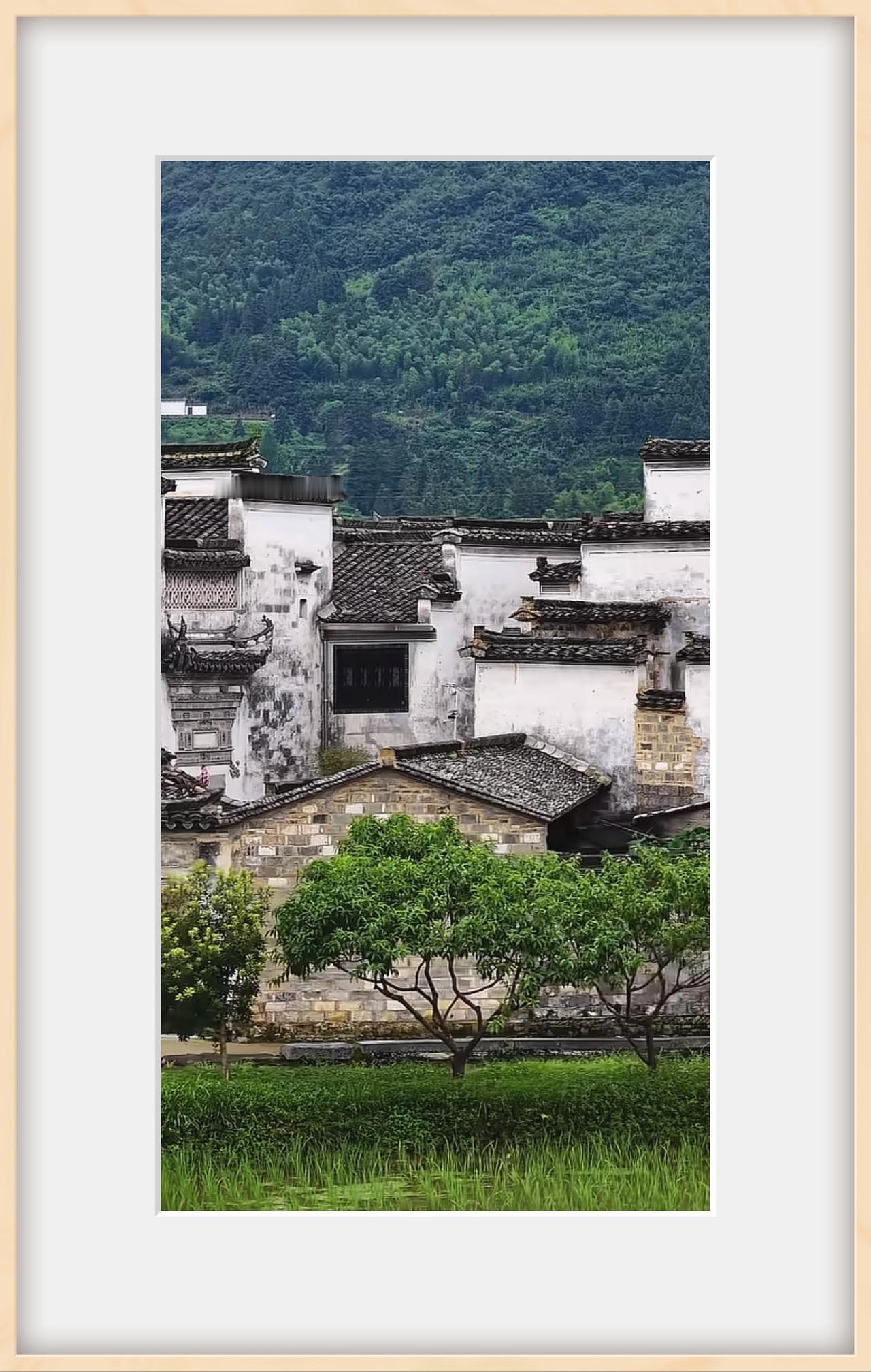 每年奔赴皖南深山，早已不是一场简单的短途旅行，而是刻进日常的精神归程。今年上半年