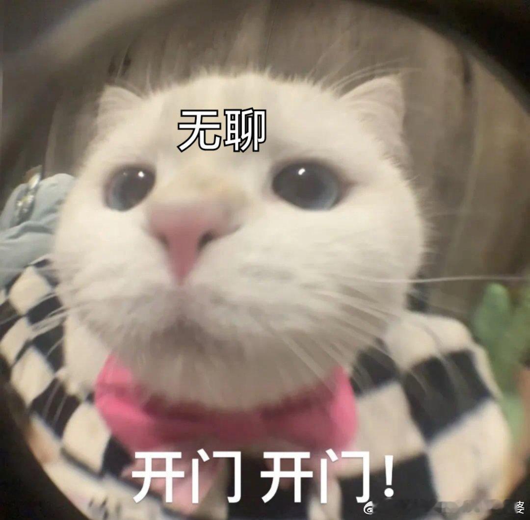 上2休2再上6休9假期前的期待是最令人上瘾的，真到了假期反倒无聊起来了 