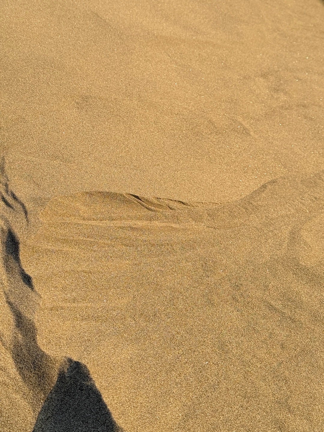 生活中越优秀的人越低调，越有实力的人越没有架子，心态越平静的人越懂得尊重别人。 