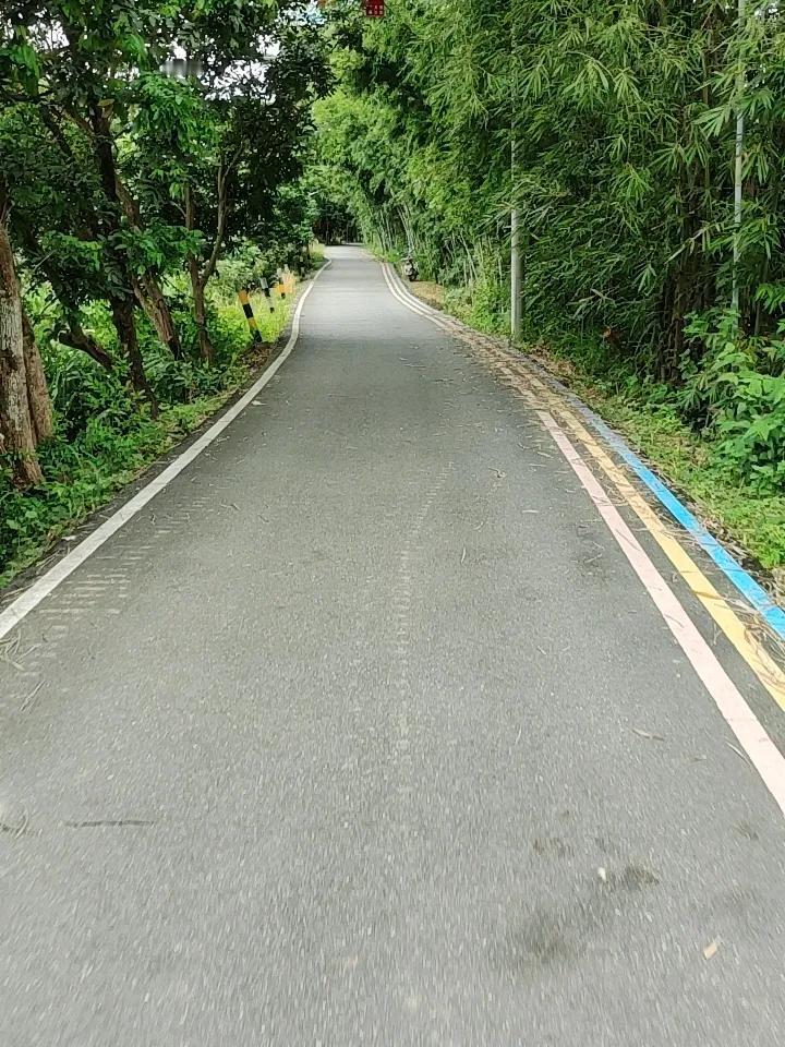 今天下班绕路去巷口那家开了七年的糖水铺，点了最爱的香芋西米露，老板偷偷多舀了两大