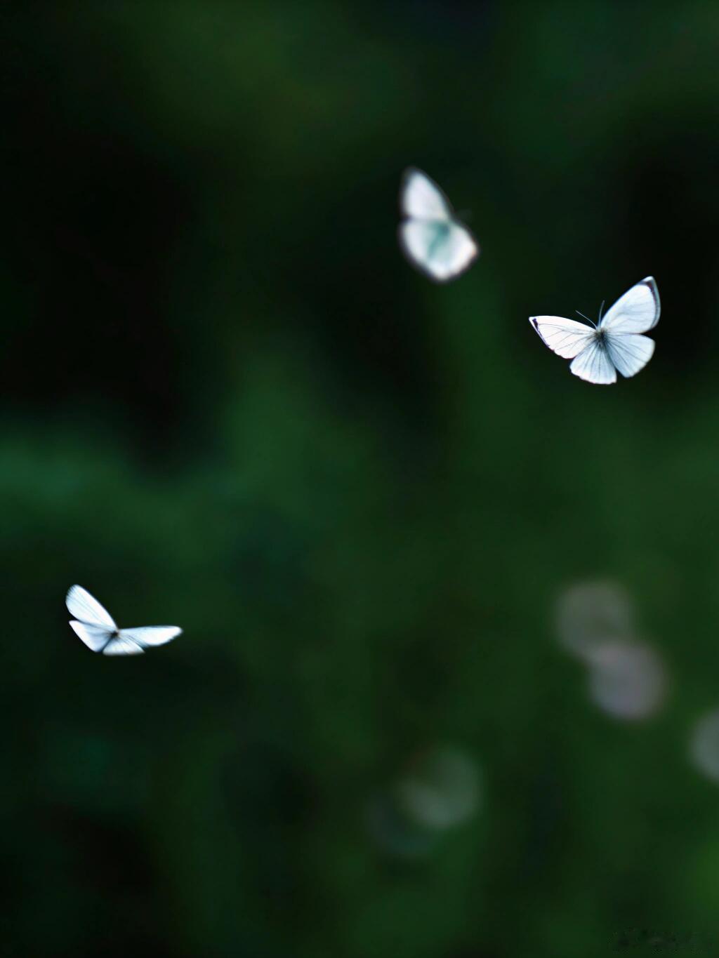 “唯有心里有你的人，才会愿意去照顾你的情绪，也唯有把你看得很重的人才能和你站在一