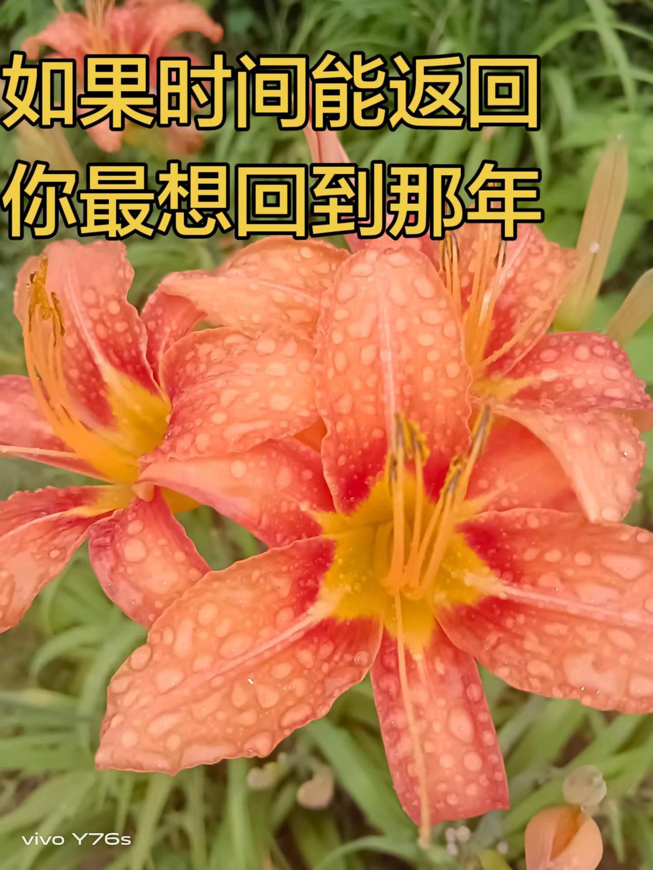 我想回到小时候