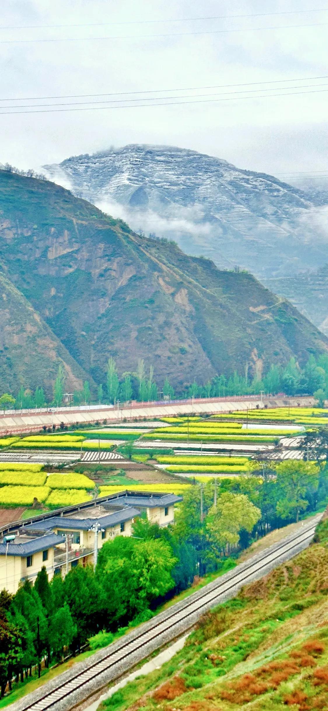 父母在，人生尚有来处；父母去，人生只剩归途。
人这一辈子，匆匆忙忙，追名逐利，总