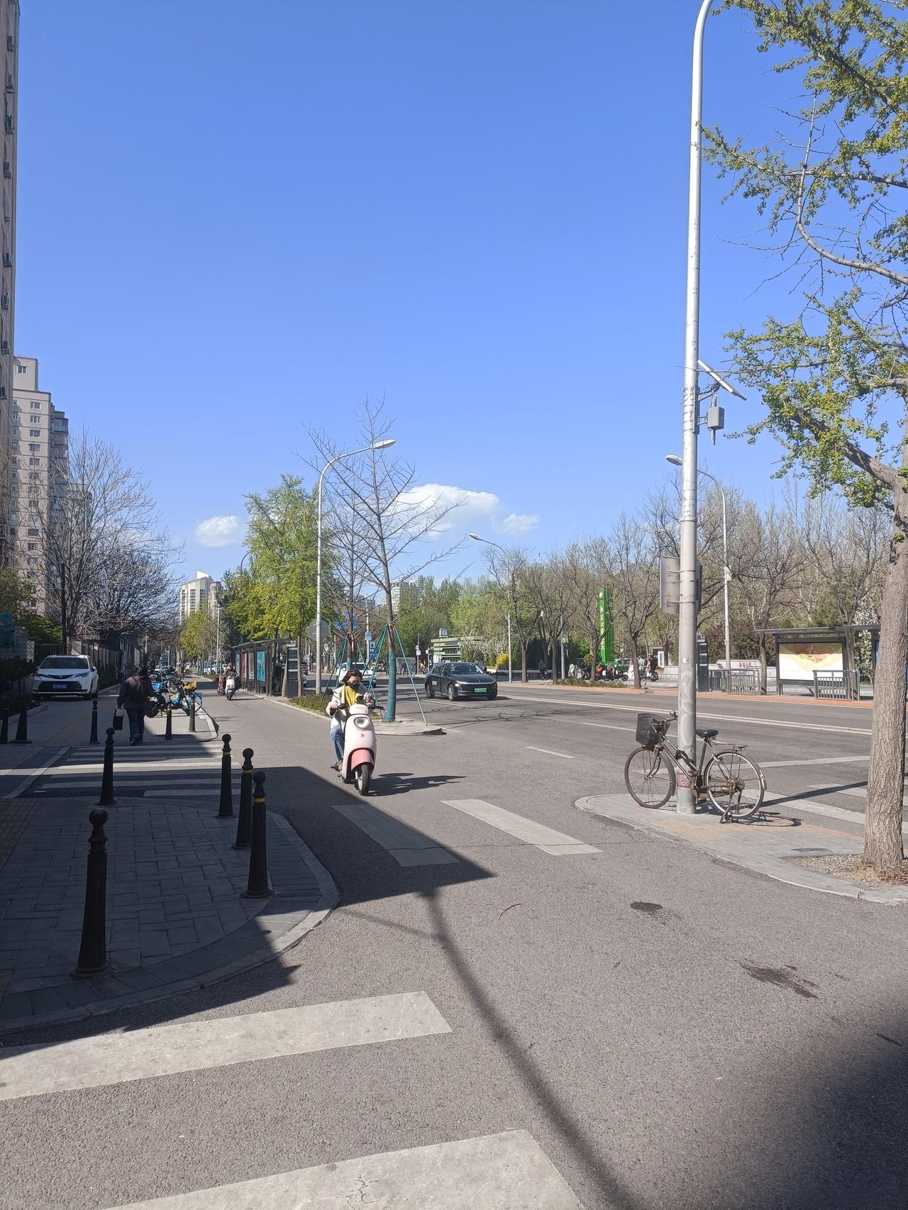 春日生活打卡季 春日漫步在街道，两旁安静得能听见花开的声音。就像大连的春天，樱花