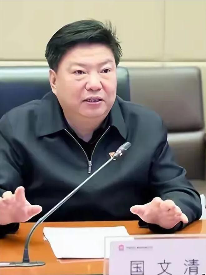 国文清投案，印度那座全球最大高炉该不该建？

2024年9月，印度塔塔钢铁的KP