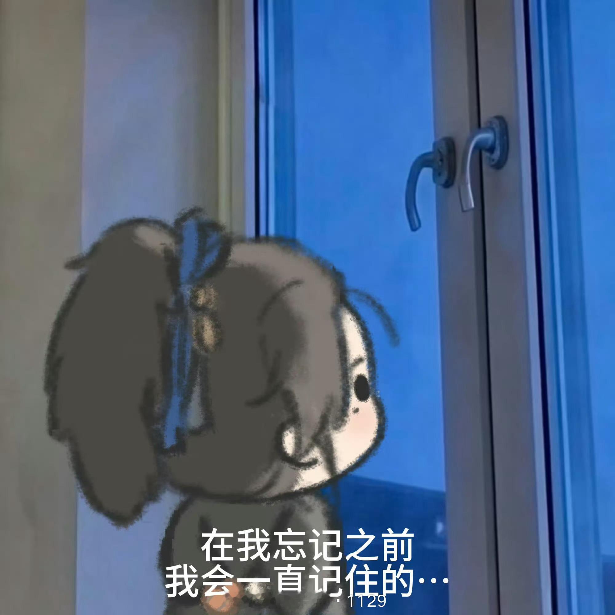 我真服了我这个抽盲盒的手气依旧是怎么每次都是n个里面唯一一个不行，其他都ok的情