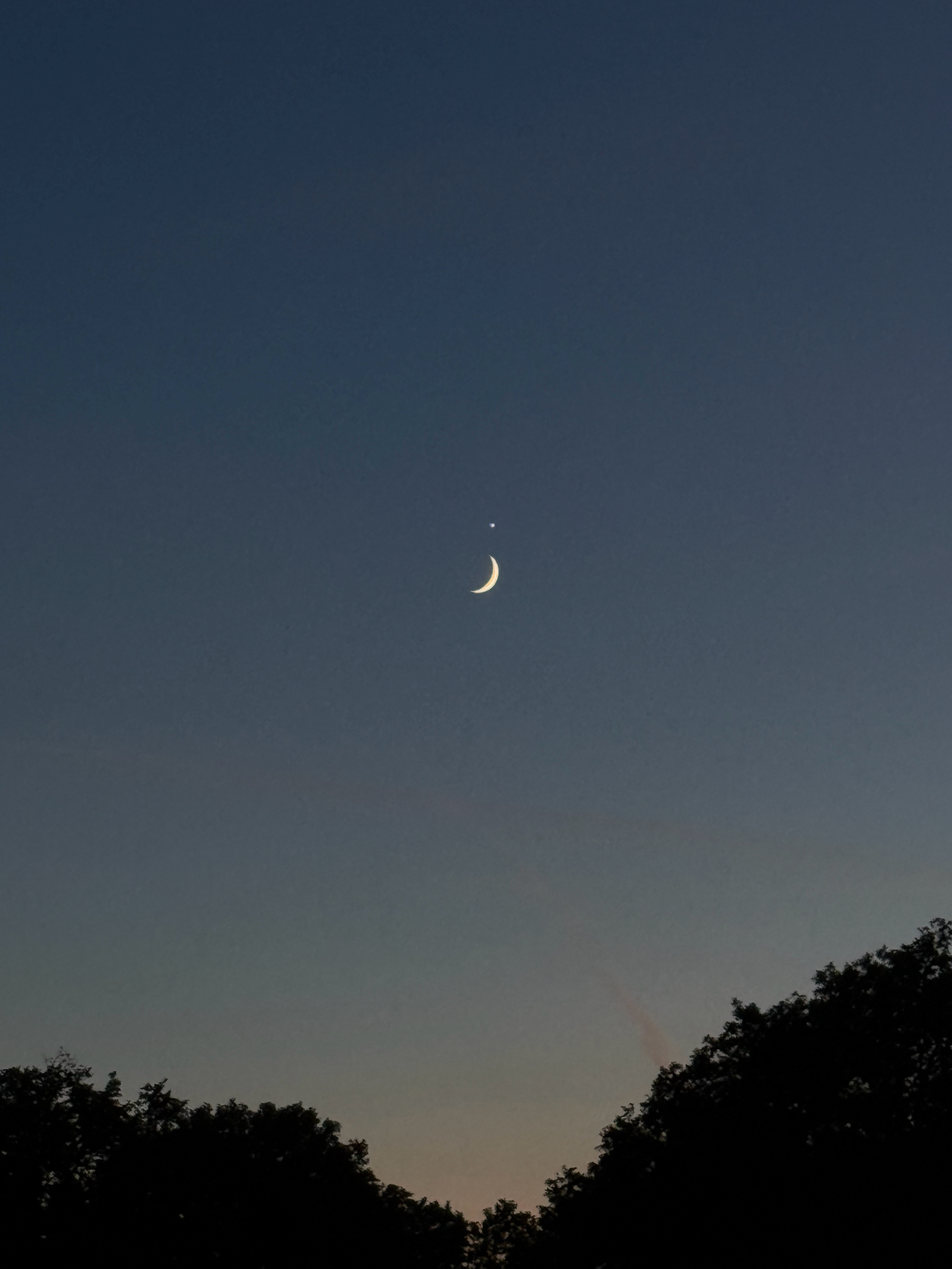 金星紧邻娥眉月 