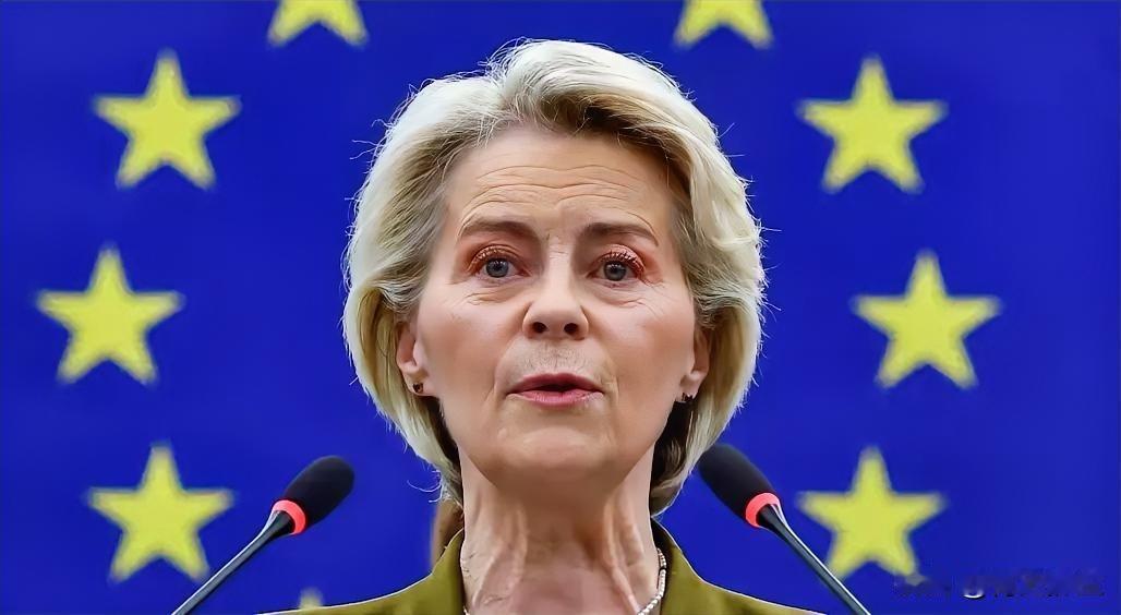 欧盟委员会主席冯德莱恩大张旗鼓提议没收俄罗斯资产以充实基辅战争资金的计划，遭到了