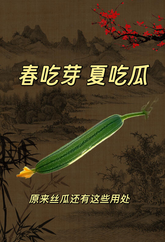 这个瓜可以通经活络，用处还不止一个噢