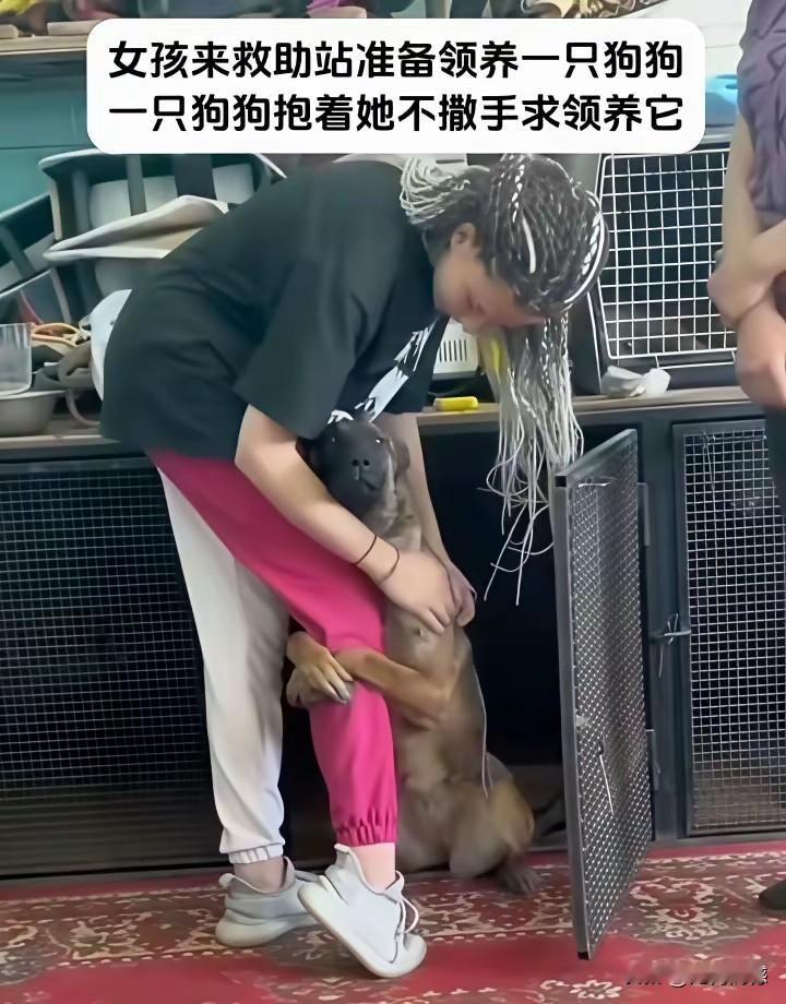 这只狗狗看到这个女子之后，用前爪直接就抱住了这个女子大腿，它好像非常害怕女子不领