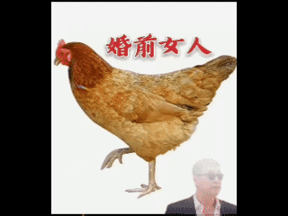 能不能找到自己的影子？[捂脸]