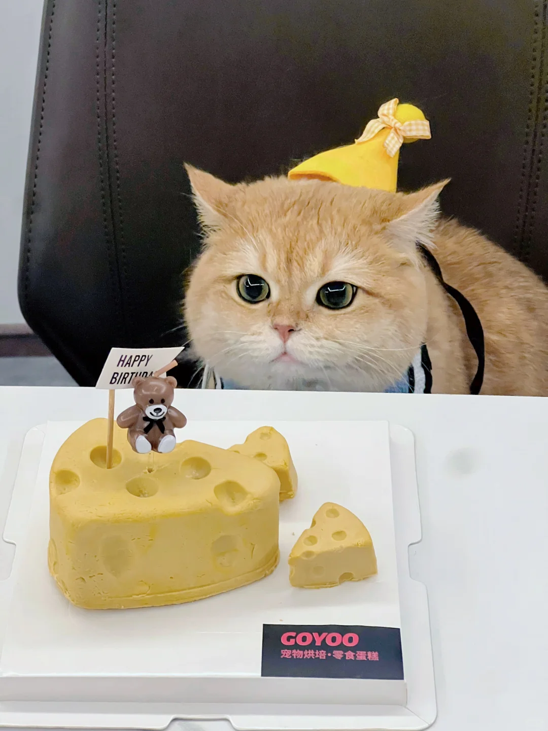 一不小心就𝟮岁啦🎂