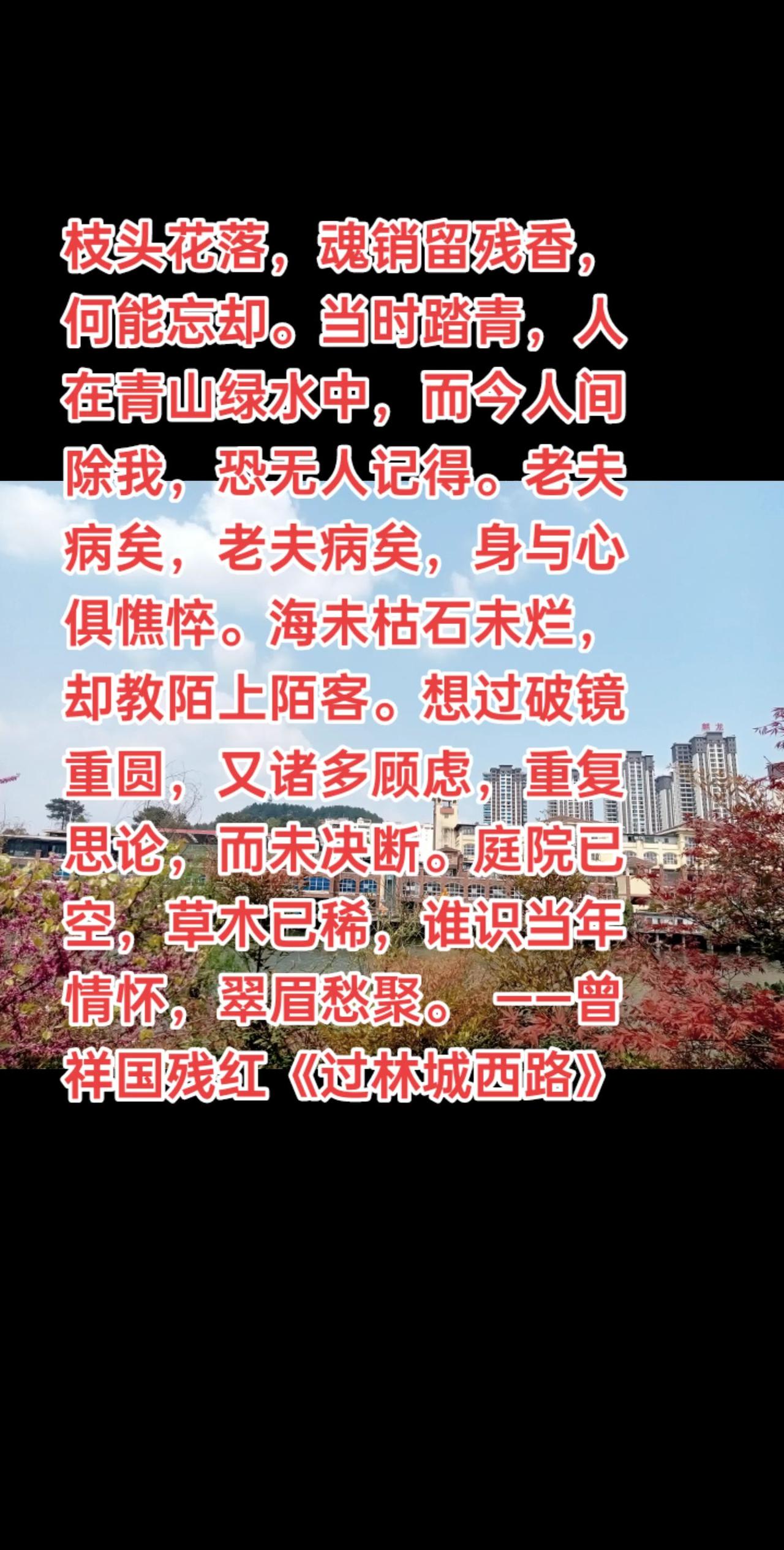 枝头花落，魂销留残香，何能忘却。当时踏青，人在青山绿水中，而今人间除我，恐无人记