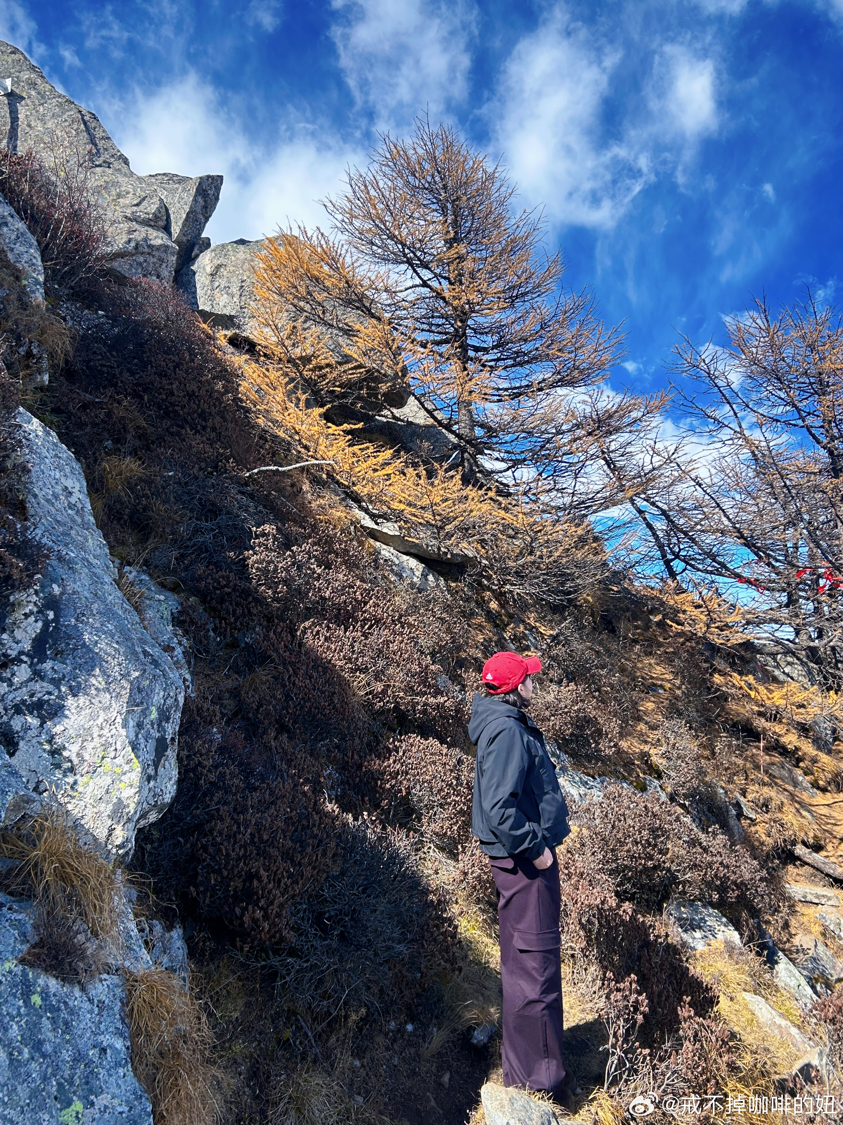 这是今年爬过最美的山～太白山如果不是第二天跑马，能在山里呆到天黑～秦岭山脉果然名