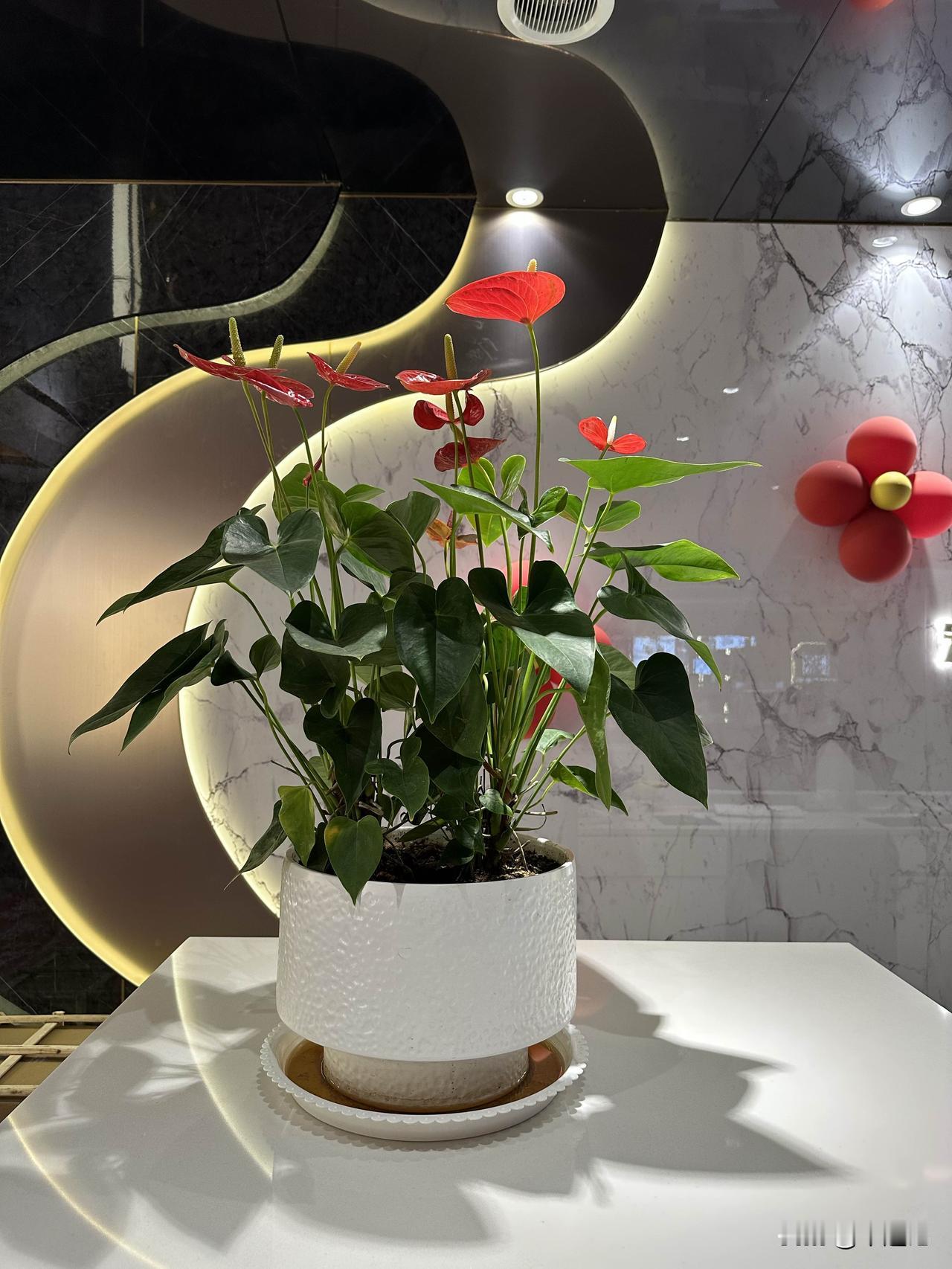 [彩虹][微风]公司食堂破戒！一不小心又没有管住自己[笑哭]！一大碗素炒河粉下肚