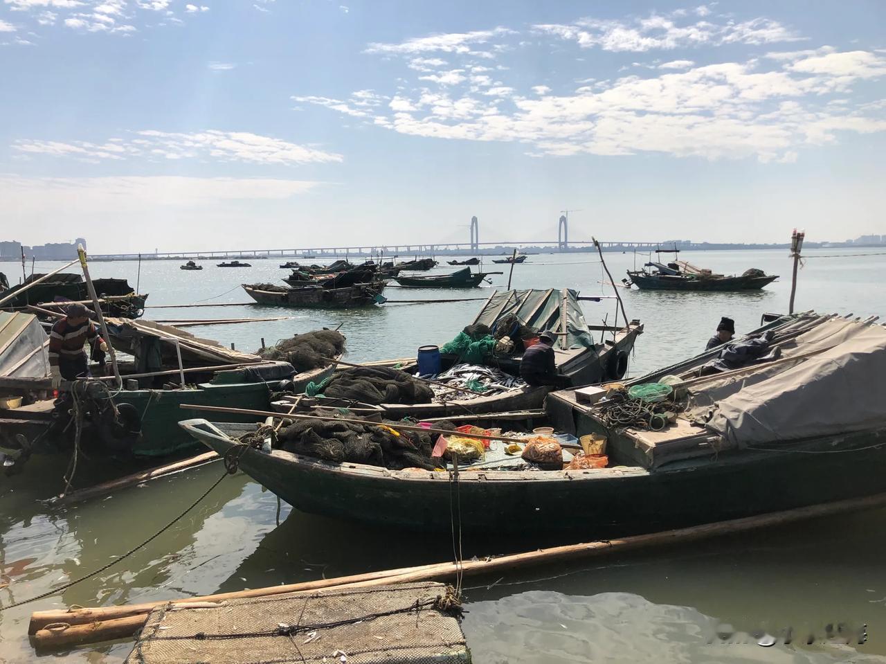 今天渔村码头又格外的热闹了起来，希望渔民乡亲们每天都平安出海，满载而归！！