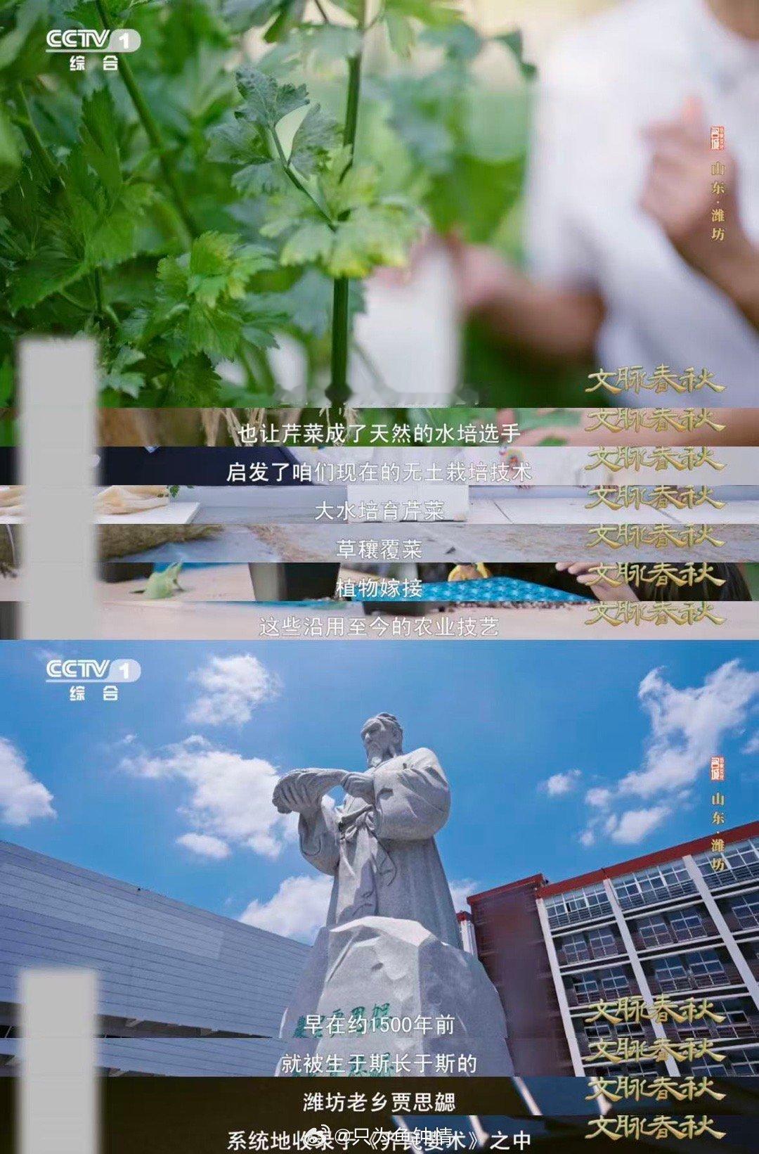 山东人种菜1500年前就很顶了古人的农书含金量还在上升 谁再说山东只会种大葱？1