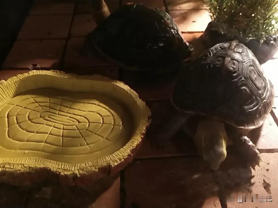 人老了

有钱是底气

有儿女是温度，两者缺一不可！

说实话，这个问题真的没有