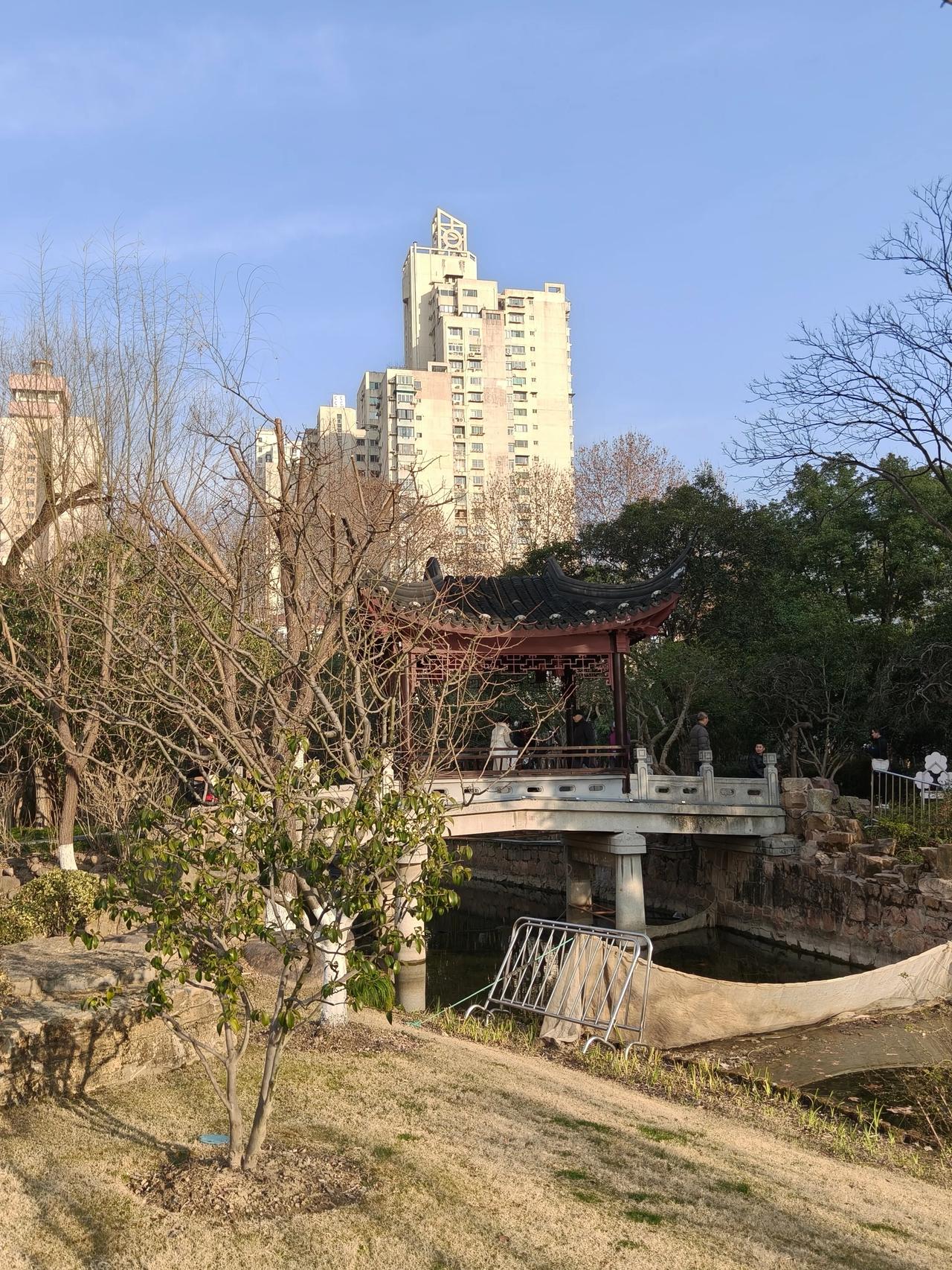 春节假期公园随便走走～🏮🏮🏮🏮

和平公园随手拍实景图分享！