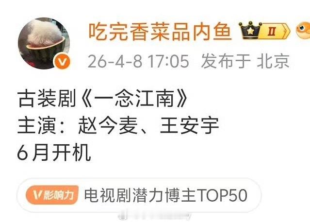 🍉一念江南 ：赵今麦、王安宇，六月开机 