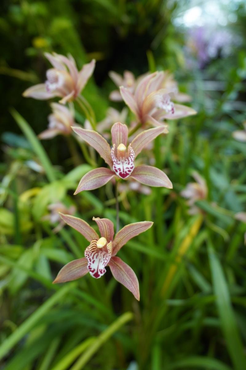 下联：岁月倏忽不待人。