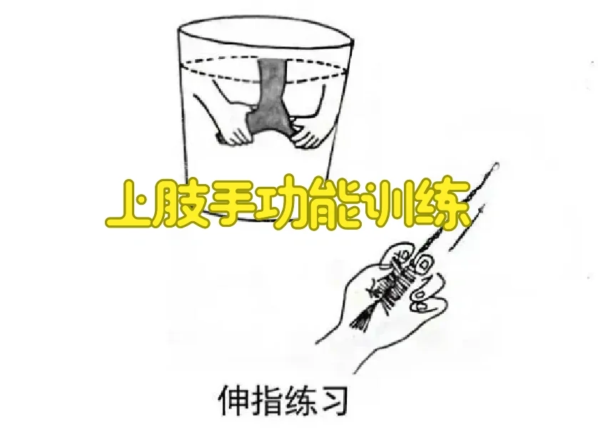 上肢手功能训练
