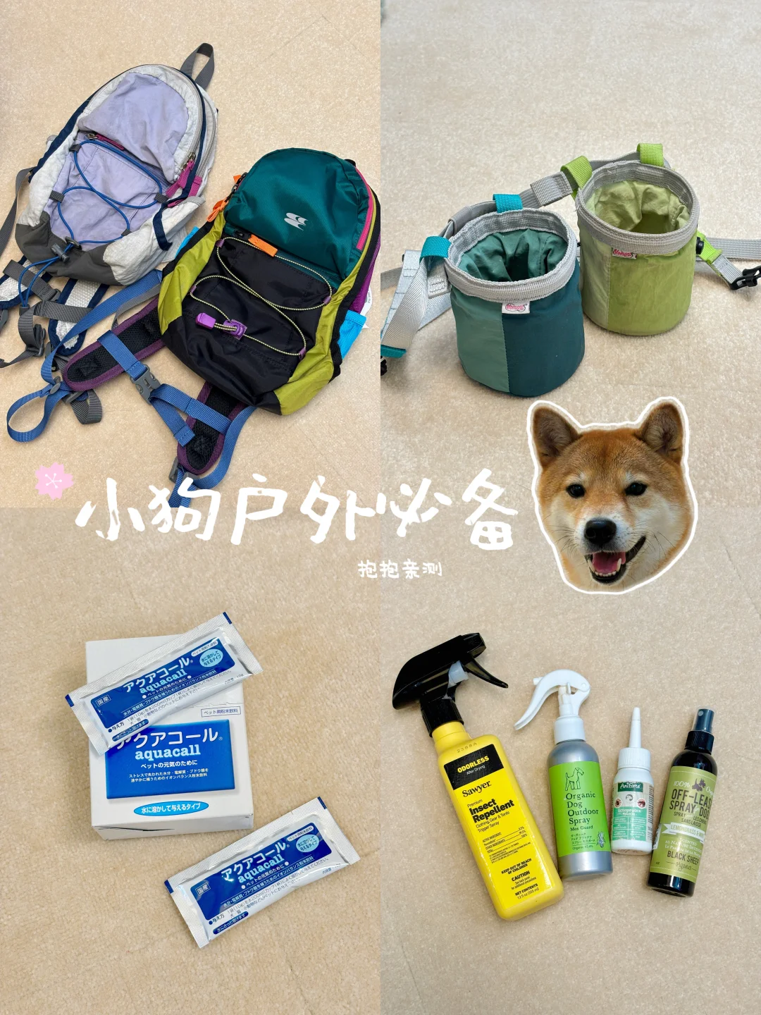 小狗必备的户外用品🐶自用分享