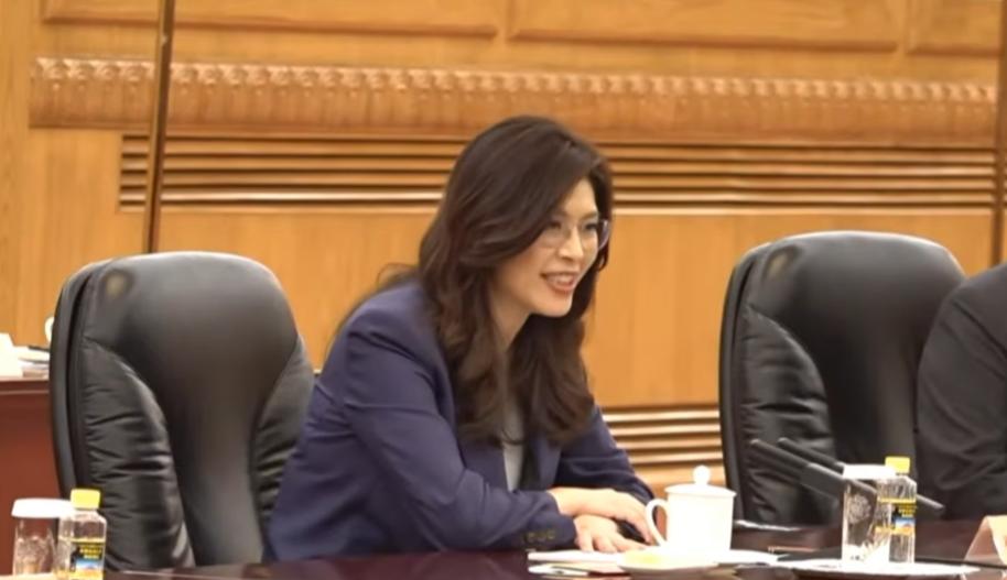 郑丽文说：“共建中华民族现代文明”。

介文汲老师对这一次郑丽文在人民大会堂的讲