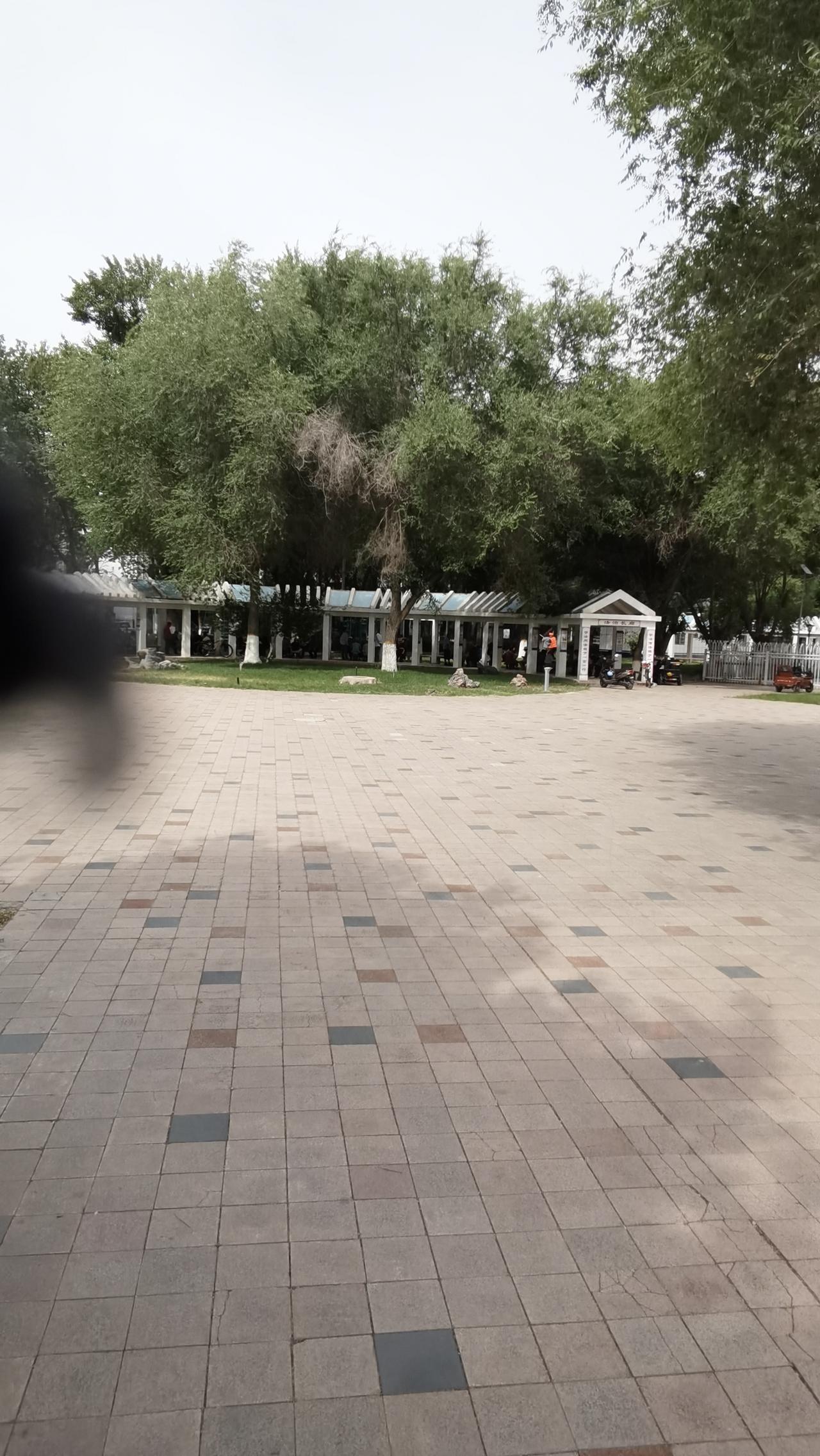 上联，清风本无意，诚邀下联绿荫总有景。